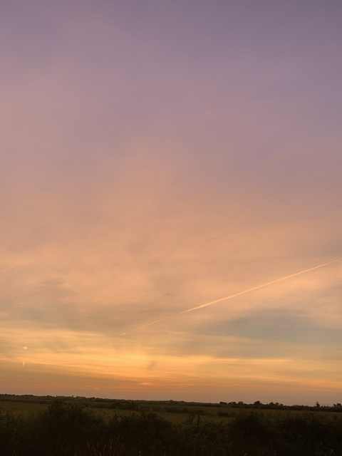 Video leaks aaronnmannn