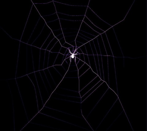 Video leaks abbybladez