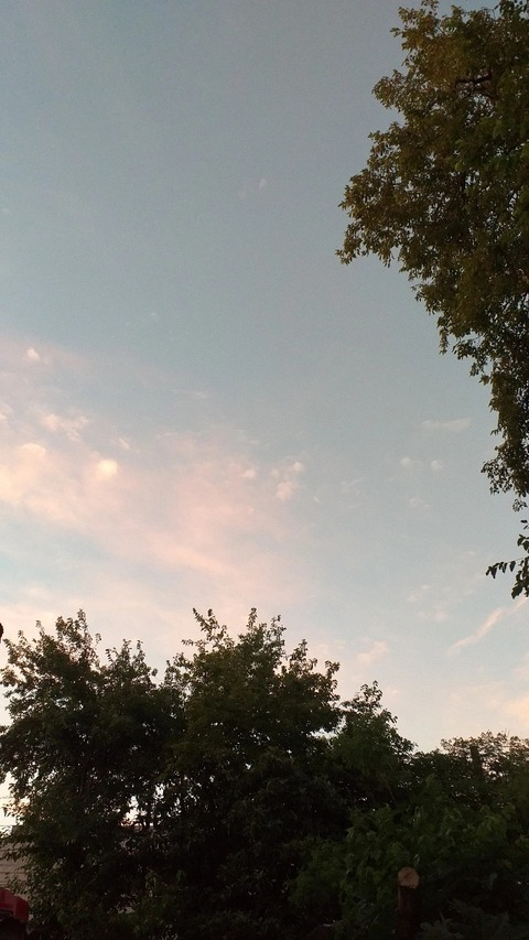 Video leaks abyydoll