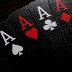 ace169 Profile Picture