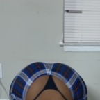 acearches Profile Picture