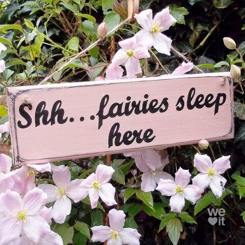 Video leaks aesmafrecklez