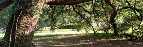 Video leaks al3xanderwolf