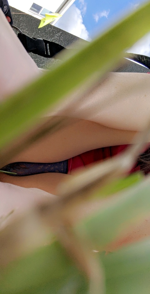 Video leaks aleahspade