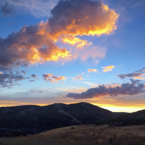 Video leaks alex_mecum