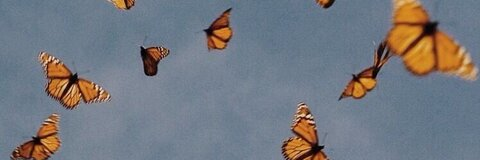 Video leaks alexiablack