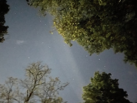 Video leaks alexussummerrr