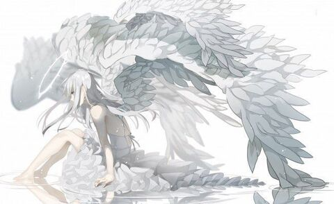 Video leaks aliceneverwhore