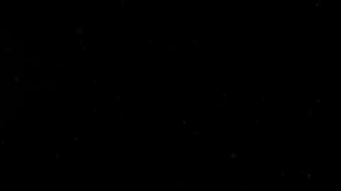 Video leaks alisonsred