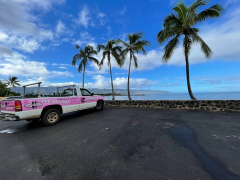 Video leaks alohasurfgirls