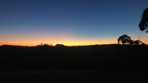 Video leaks alyce.schubs