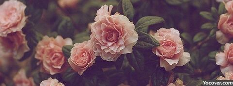 Video leaks amber.faye.sama