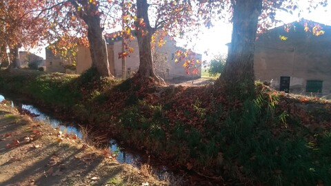 Video leaks anaserrano