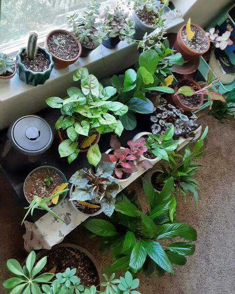 Video leaks anastasia66