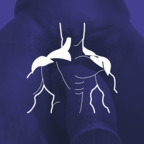 andreshenri Profile Picture