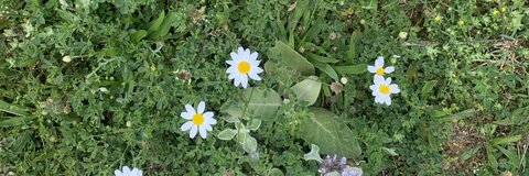 Video leaks andyjazba