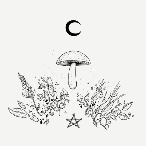 Video leaks andyxxxwolff