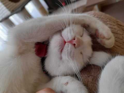 Video leaks angela-27