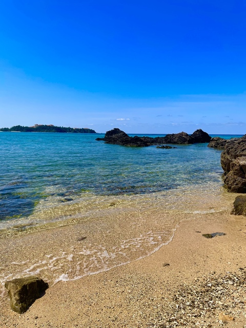 Video leaks animefreaktoo