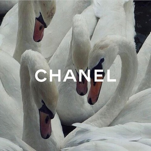 Video leaks antiques