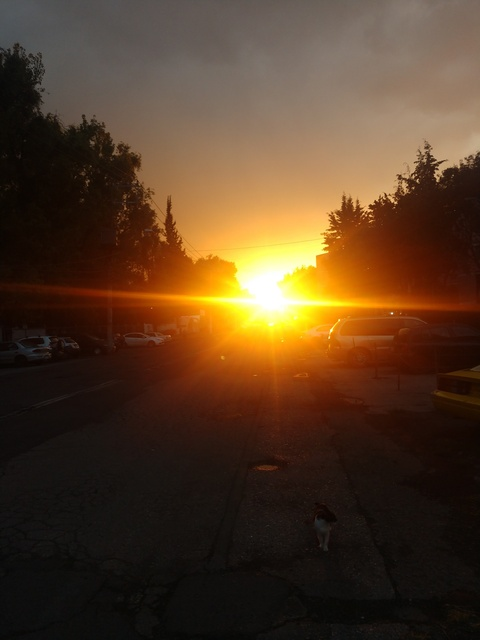 Video leaks antoine.37