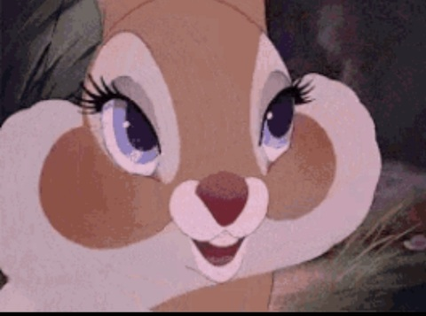 Video leaks apokemon