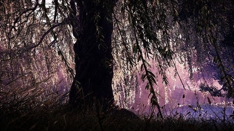 Video leaks arcanari