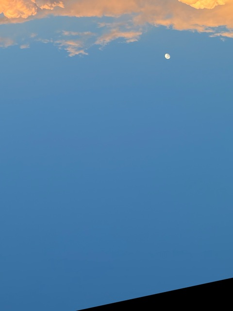 Video leaks ariamorxxx