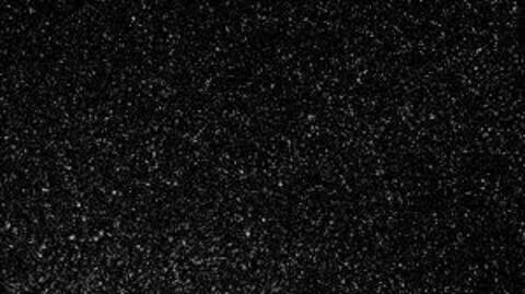 Video leaks aries_bby94