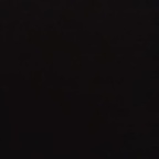 arzum Profile Picture