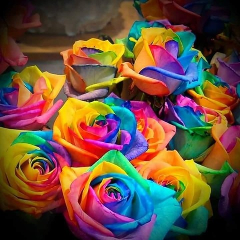 Video leaks ashleyfaye313