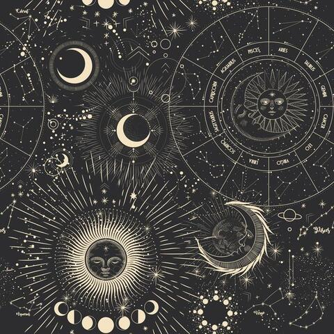 Video leaks ashlielotustv