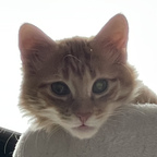 Onlyfans leaks asianwinnie 

 profile picture