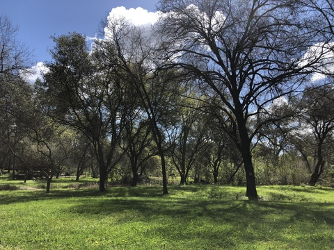 Video leaks asssandsass