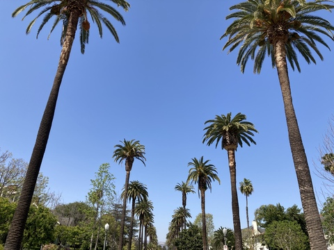 Video leaks asstrologyy