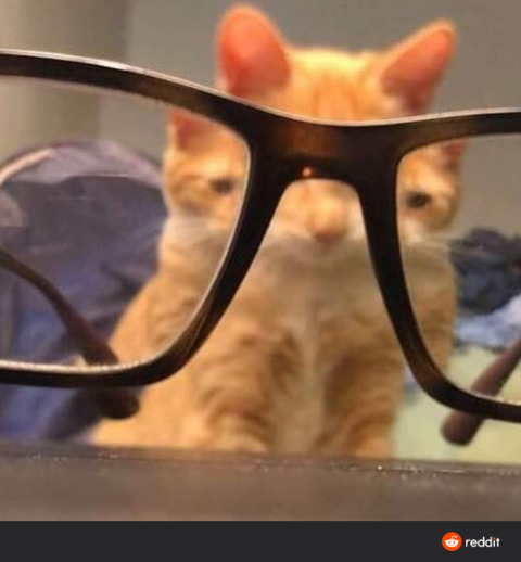 Video leaks audacious