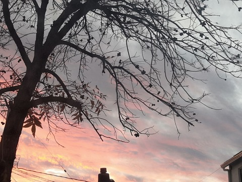 Video leaks awitadehorchata