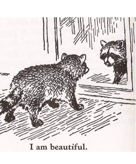 Video leaks ayaambunny