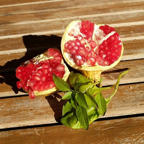 Video leaks azstarael