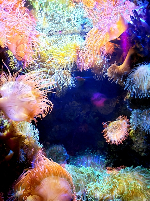 Video leaks b4by_bun