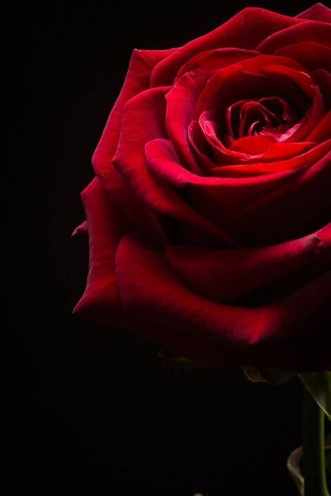 Video leaks babexo98