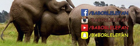 Video leaks baborlelefan