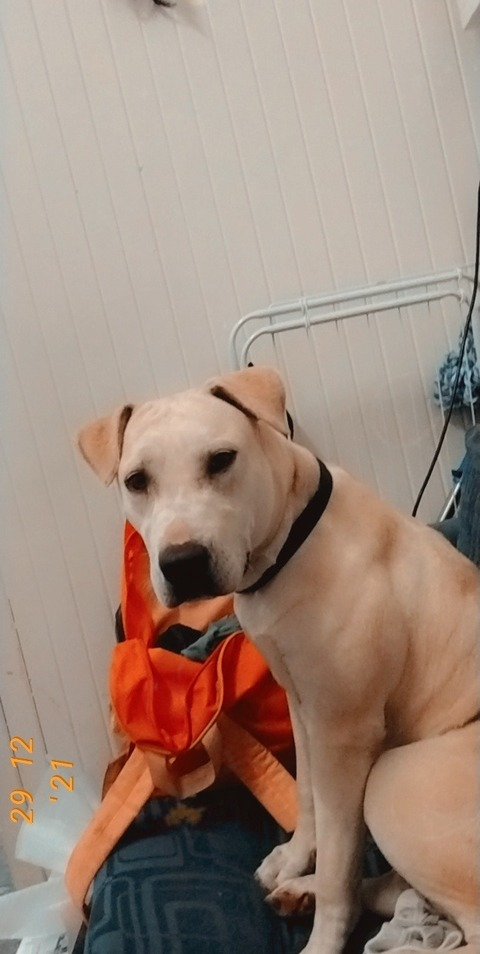 Video leaks baby_mumma2k20