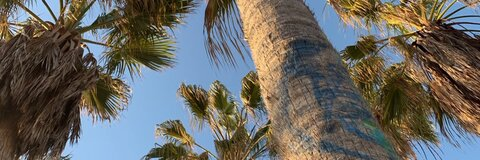 Video leaks babyaangel