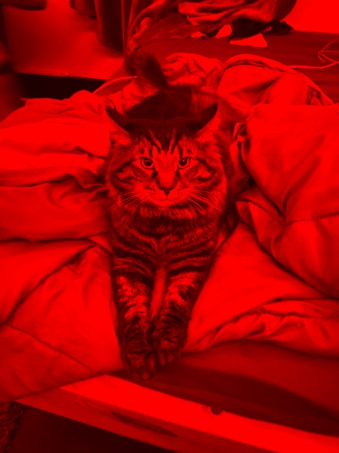 Video leaks babydoll3421