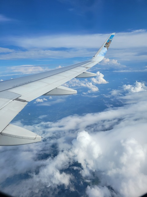 Video leaks babygirll311