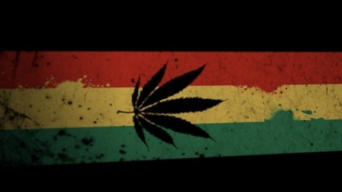 Video leaks babynicki