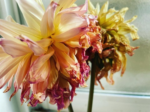 Video leaks banana_only39