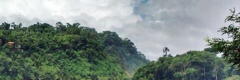 Video leaks bautista