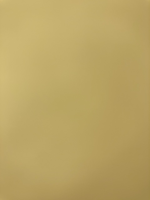 Video leaks bbygal_xo